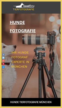hundefotgraf_muenchen_agentur_good_boy_werbefotografie_hunde_muenchen_agentur.png