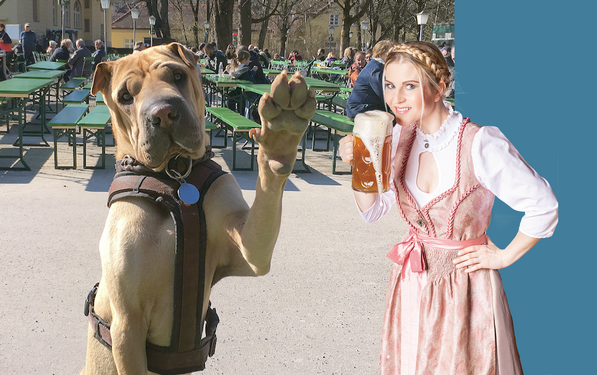 werbefotografie_tiere_hunde_muenchen.png