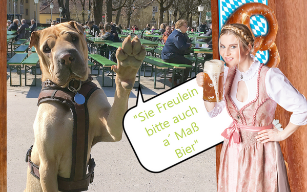 werbung_biergarten_hundefreundlich.png