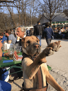 servus-muenchen.gif