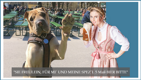 werbefotos_hunde_muenchen_outdoor.png