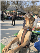 lustige_hunde_fotograf_muenchen_shar_pei.png
